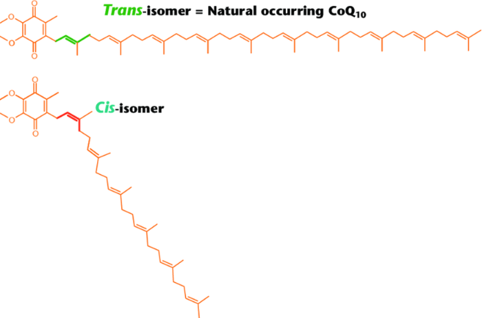 코엔자임 Q10 코큐텐 COQ10 영양제 심혈관 고혈압 스타틴 심장 에너지 미토콘드리아 유비퀴놀 유비퀴논 선택방법 제품추천