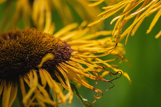 MG새마을금고 상상모바일 대출 6