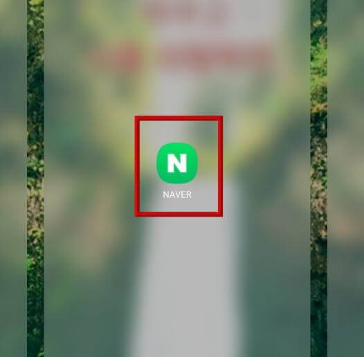 네이버 아이콘 빨간 테두리