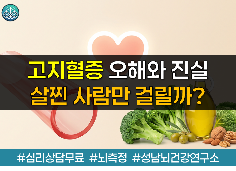 고지혈증 오해와 진실 - 살찐 사람만 걸릴까? 전문의가 짚어본 올바른 관리법 가이드