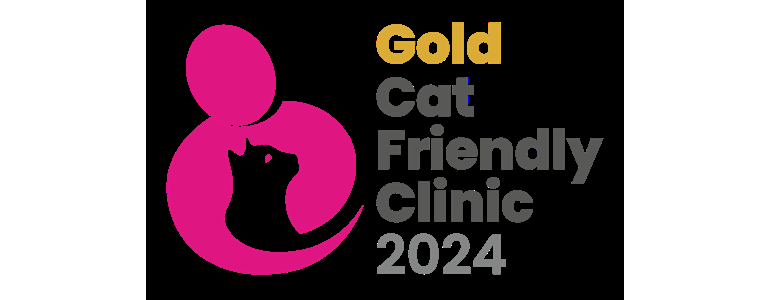 창원 진해구 동물병원