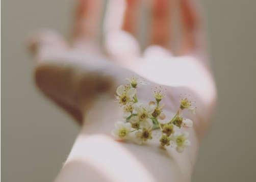 여성호르몬 에스트로겐이 몸에 미치는 영향