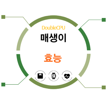매생이 효능 탐구