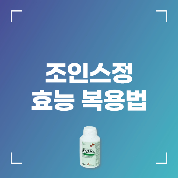 조인스정 200mg 효과 부작용 가격