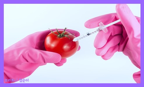 항산화 작용이란 사진