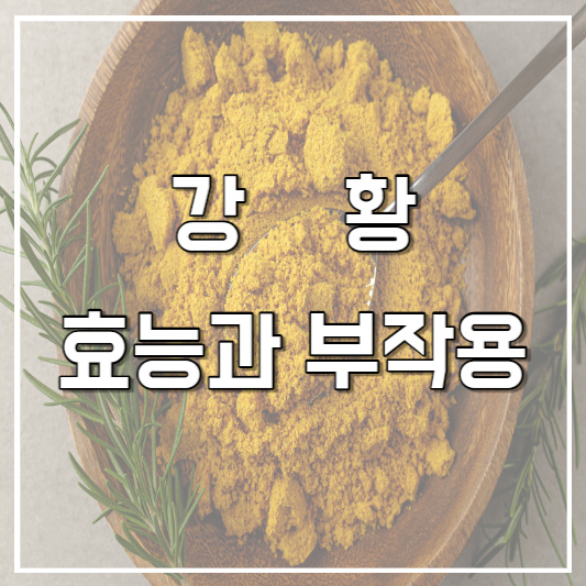 강황 효능과 부작용