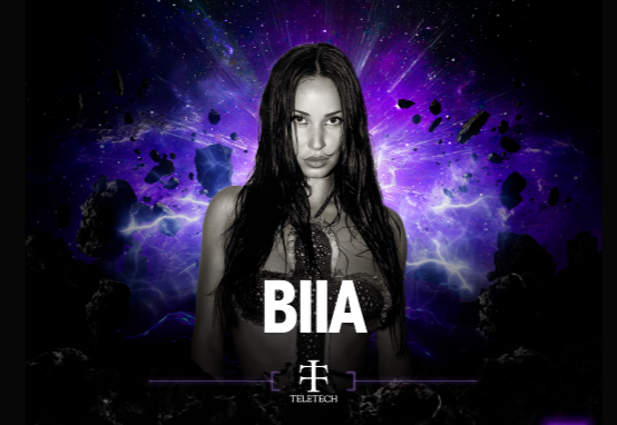 2025 월디페 라인업