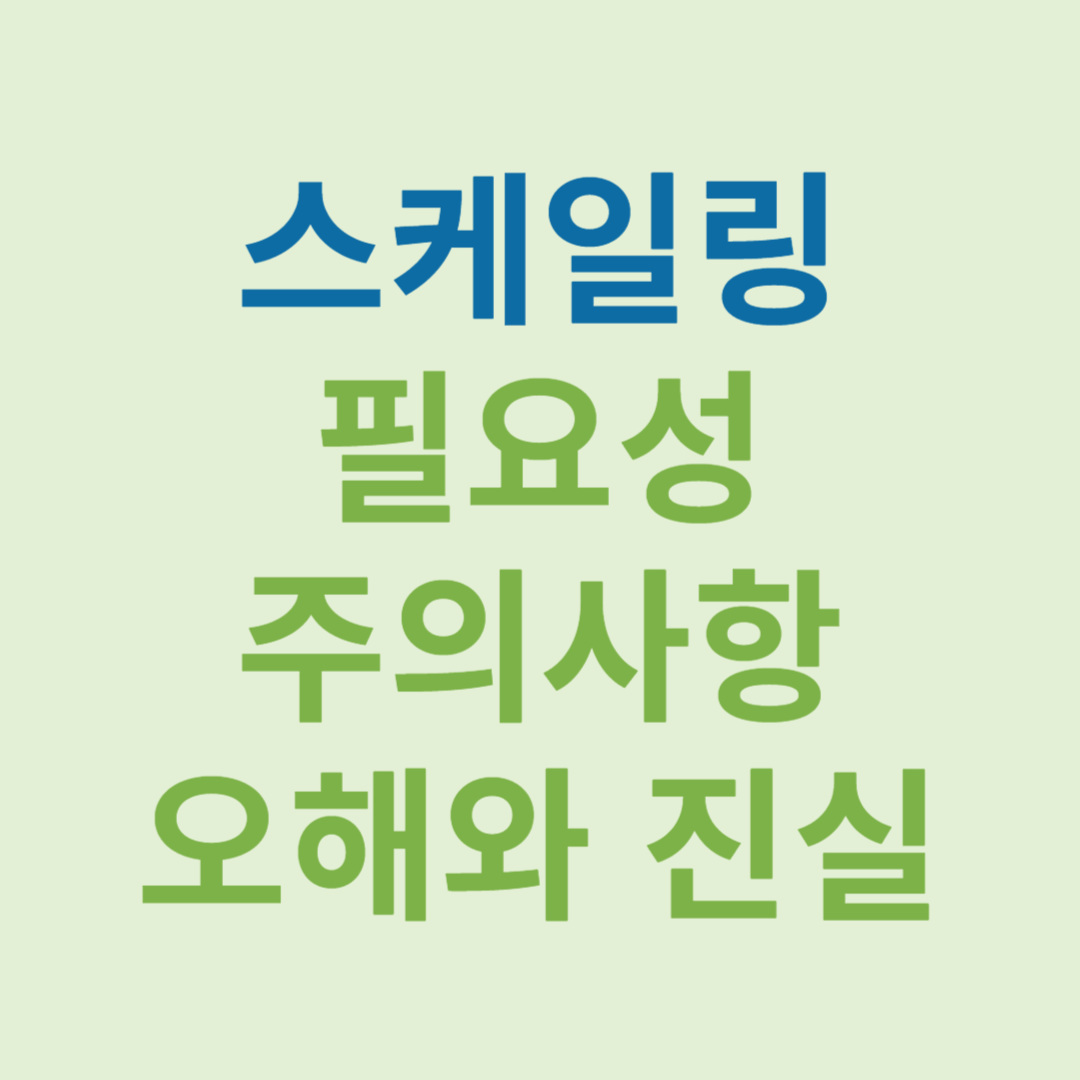 치석 치석발생 치석 제거방법 스케일링 스케일링 보험적용 스케일링 피 스케일링 통증 스케일링 주기 치석이유 스케일링 스케일링 시간