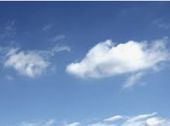 ENTP 유형 특징 분석