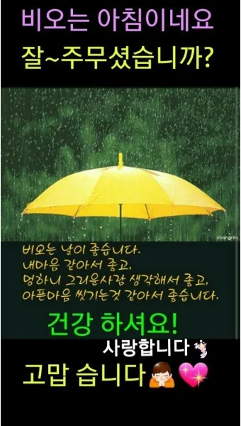 비오는날 안부 인사 건강 챙기는 말 안전 운전 당부 문장_10