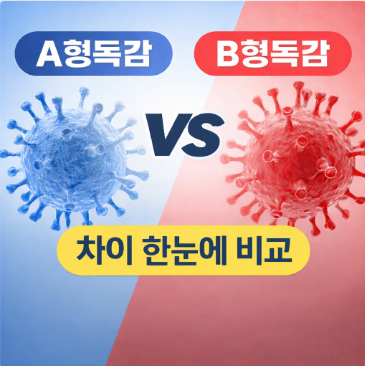 a형독감 b형독감 차이