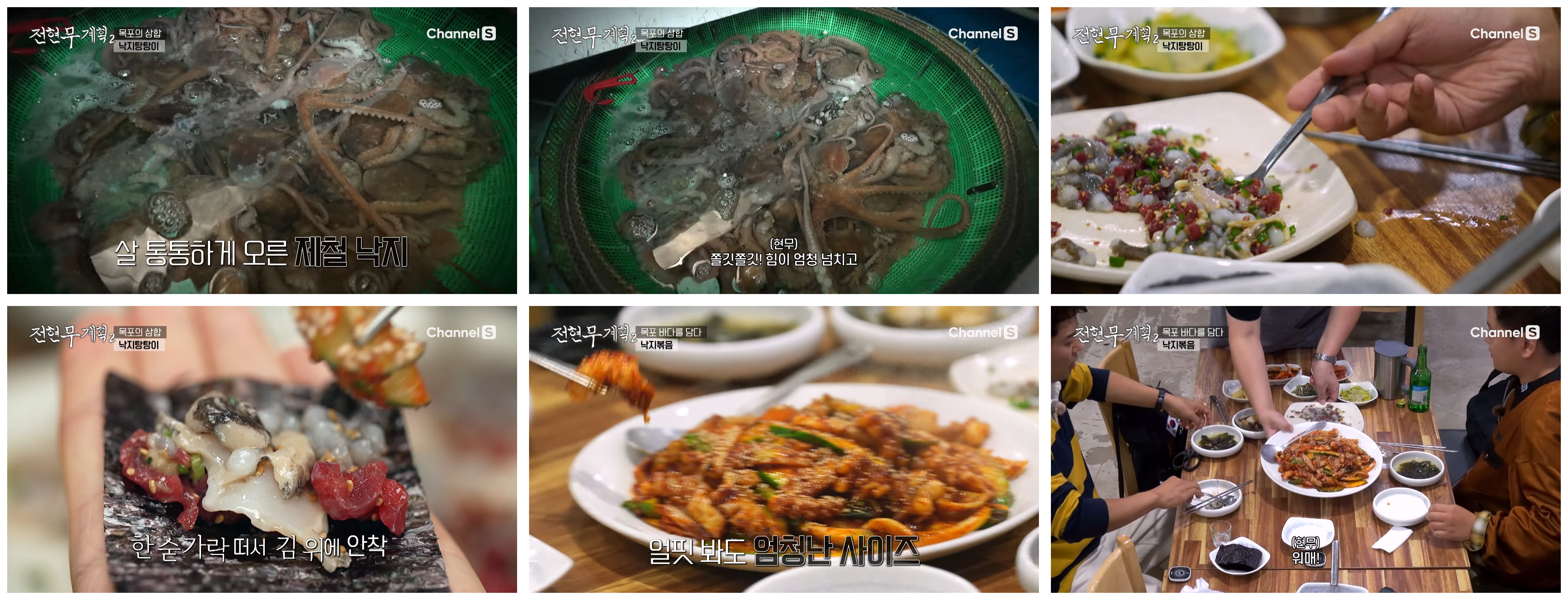 목포특집 낙지탕탕이