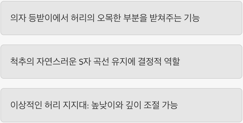 단 하나만 본다면, 허리 지지대 (럼버 서포트)