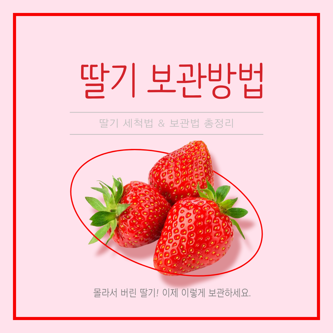 딸기 오래 보관하는 방법