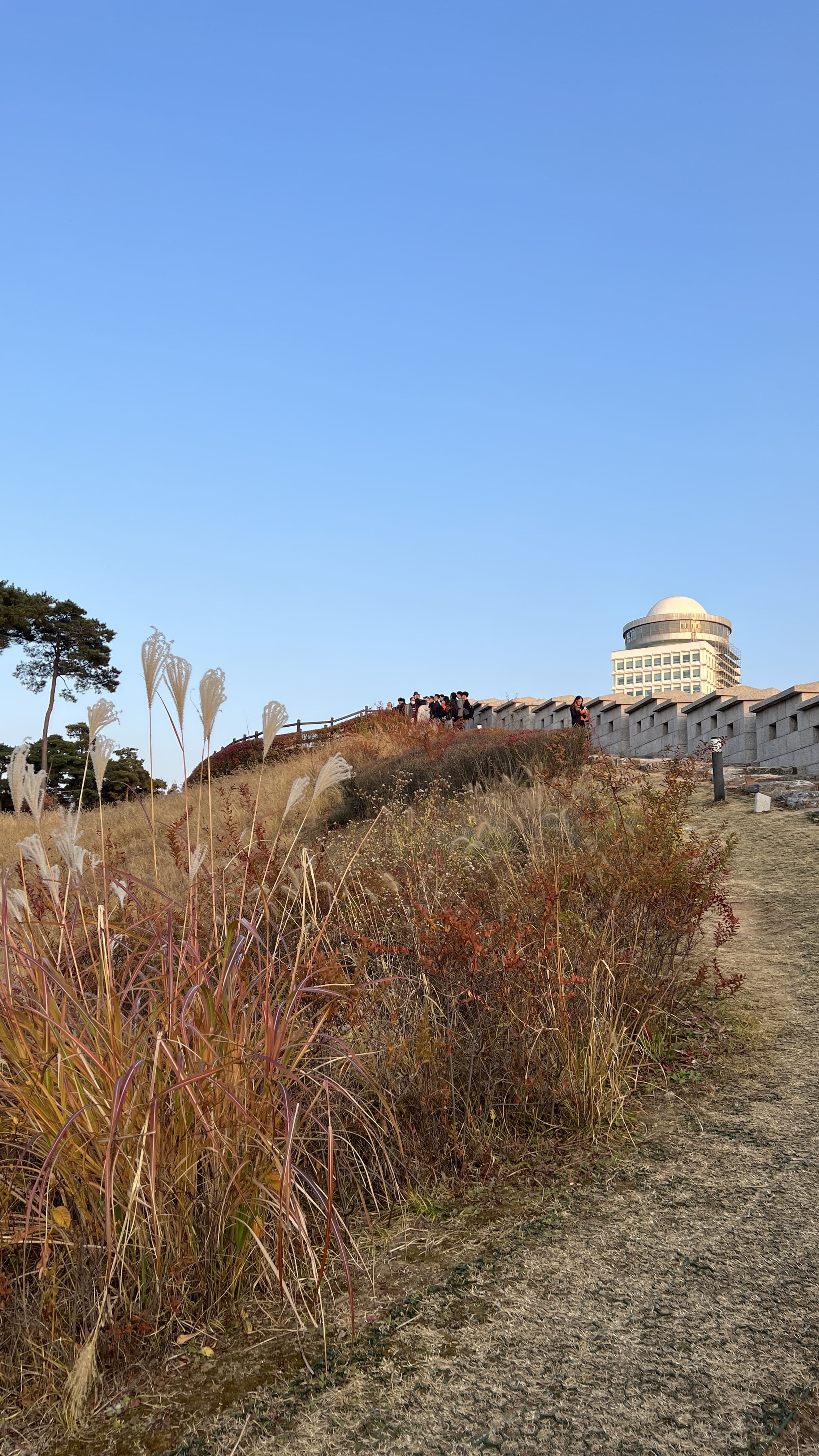 가을 남산공원 백범광장 산책
