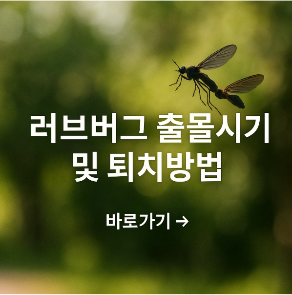 러브버그 출몰시기 및 퇴치방법