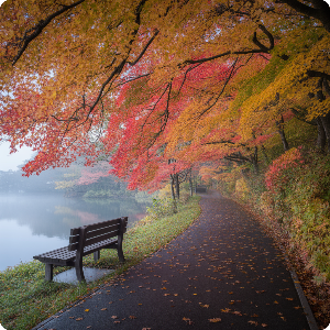 2025년 단풍 절정 시기 - 부산&middot;제주권 단풍 명소 가상 이미지