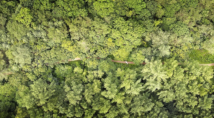치악산 둘레길 관련 사진