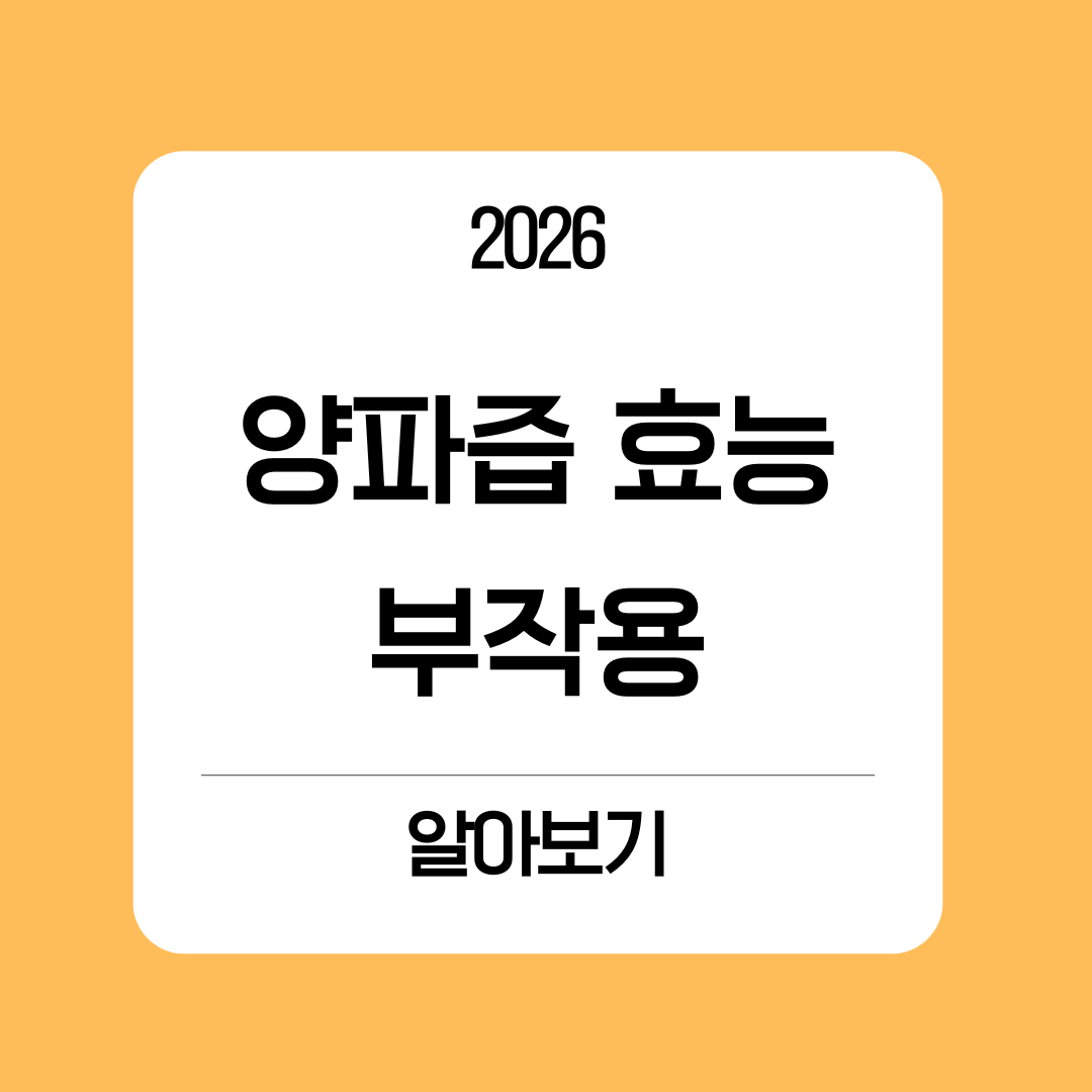 양파즙 효능 부작용 알아보기