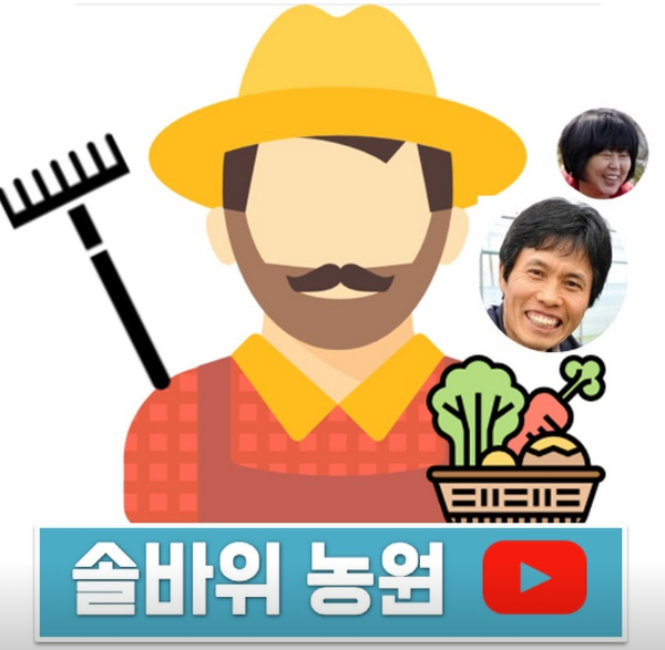 솔바위농장 배추 