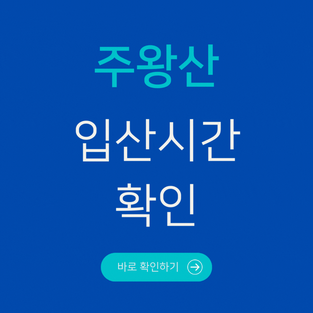 주왕산 입산시간 확인