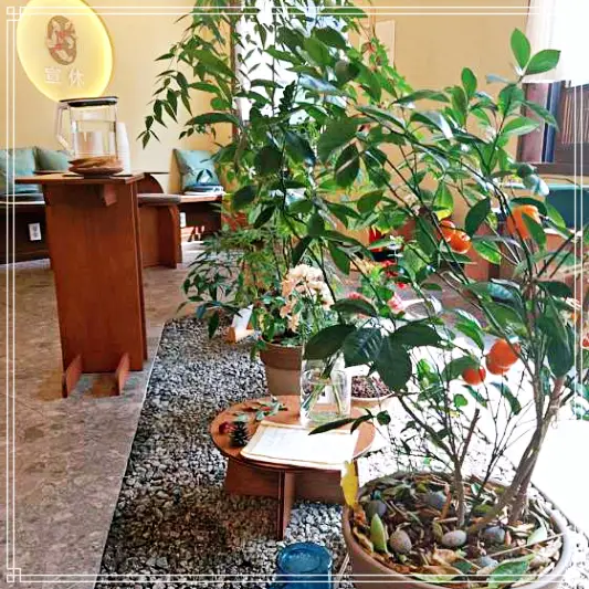 놀토-놀라운토요일-매화고-약과-카페