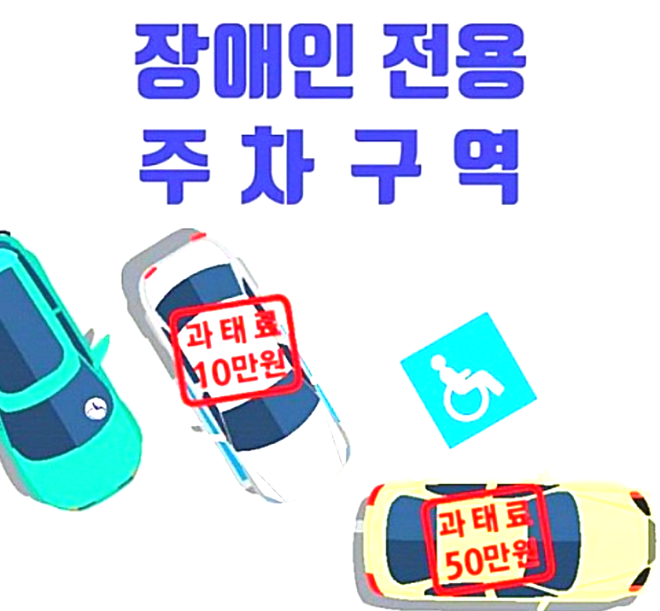 장애인 주차구역 과태료 정책 2025년