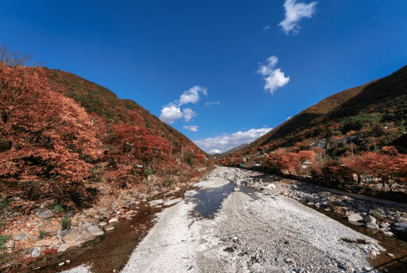 양산 배내골