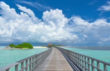 롯데관광 여행사 홈페이지