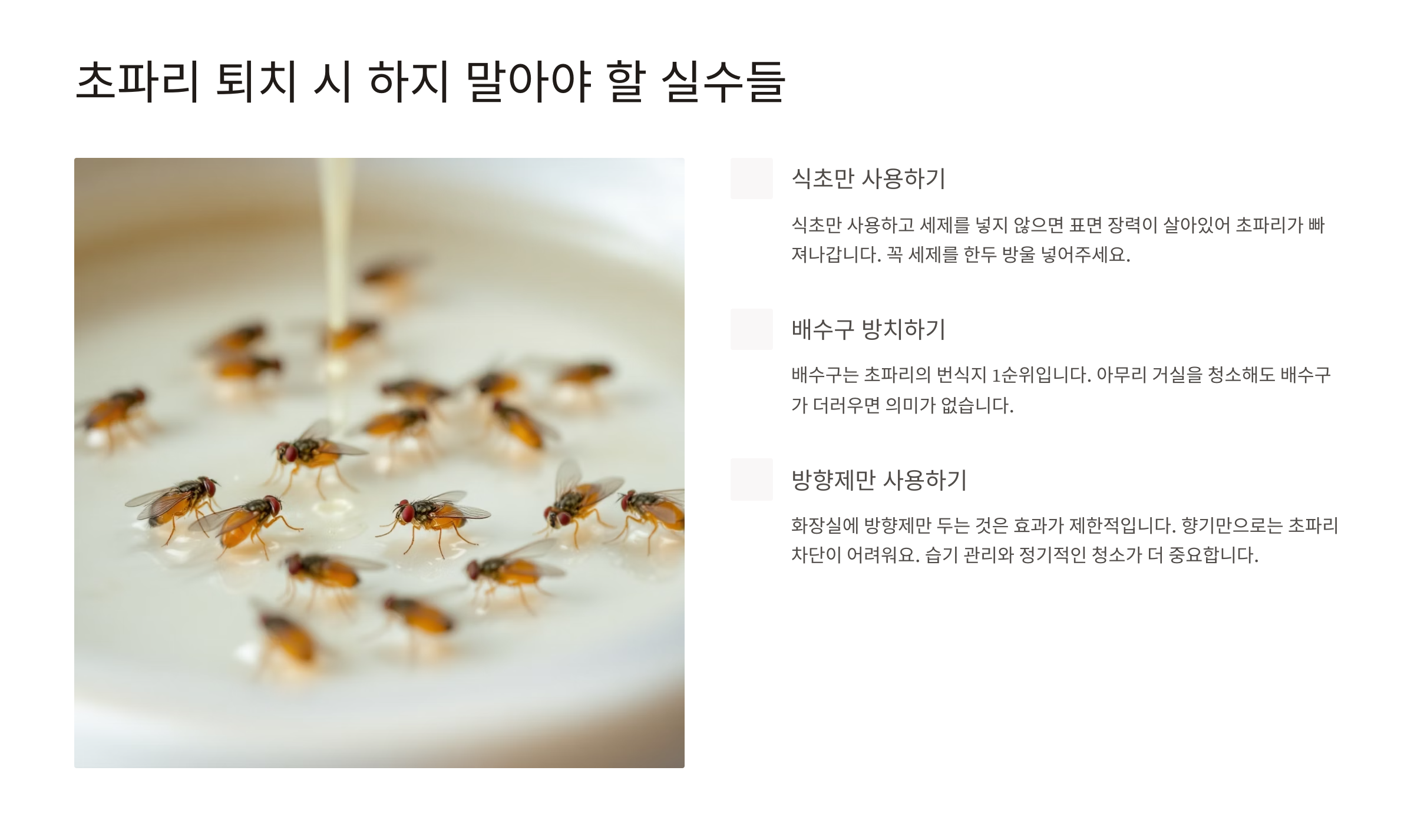 초파리 없애는 방법