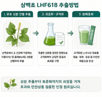 삼백초lhf618-효능-뜻-추출방법-차이-가격-간-효과-고르는방법