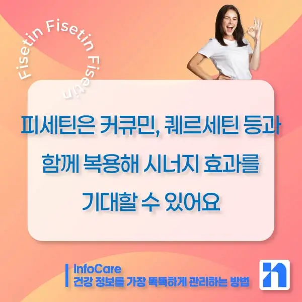 피세틴 효능 항산화 저속노화 노화방지 세놀리틱