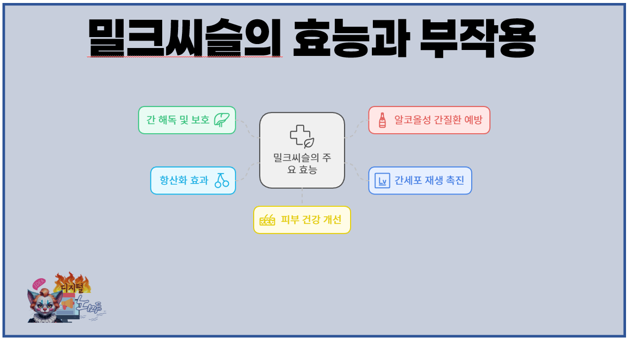 밀크씨슬의 주요 효능