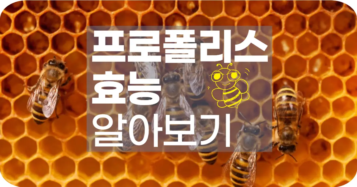 프로폴리스 효능 완벽 정리! 아토피 피부염 개선에도 효과 있을까?