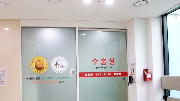 쓸개 제거 수술 후 좋은 음식