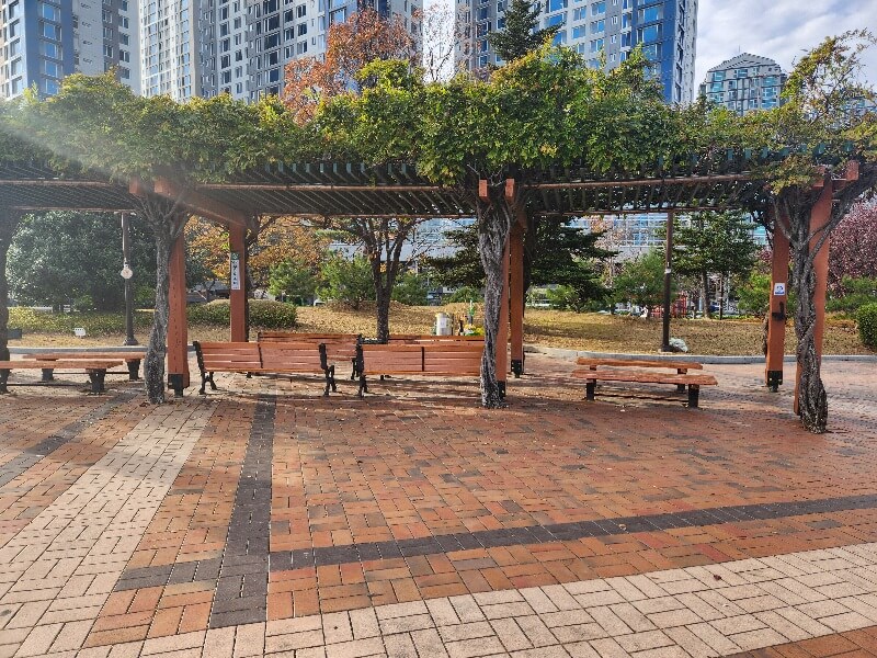 김해 연지공원 국화꽃길