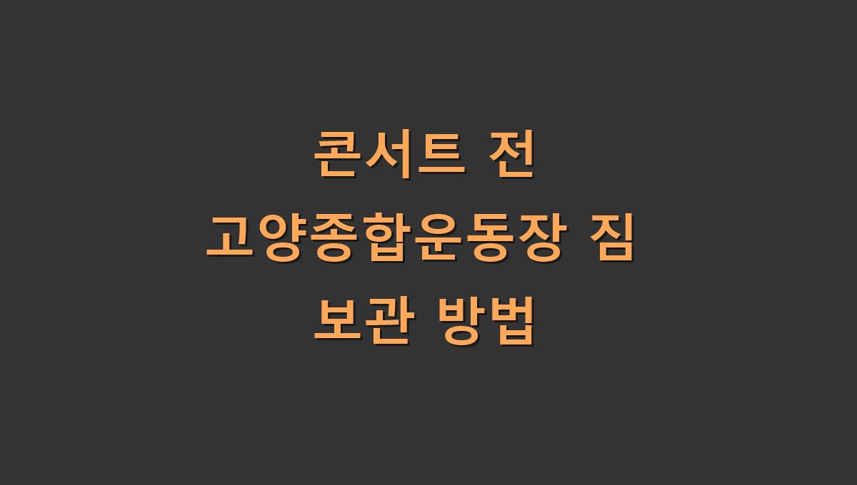 콘서트 전 고양종합운동장 짐 보관 방법