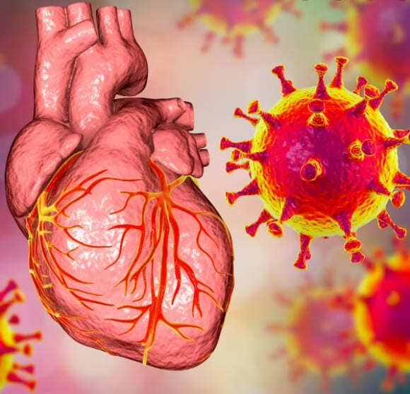 충격!...최근 갑작스럽게 증가하고 있는 젊은 성인 사망 증후군(SADS) The Latest Tragedy: Sudden Adult Death Syndrome