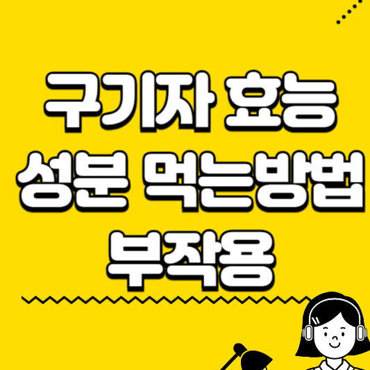 구기자 효능 성분 먹는방법
