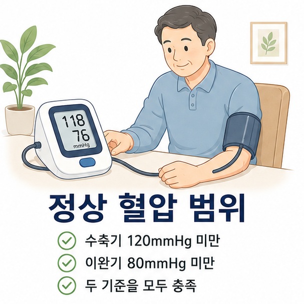 위팔 혈압계를 이용해 측정한 정상 혈압 범위가 수축기 120mmHg 미만이면서 이완기 80mmHg 미만임을 보여 주는 그림
