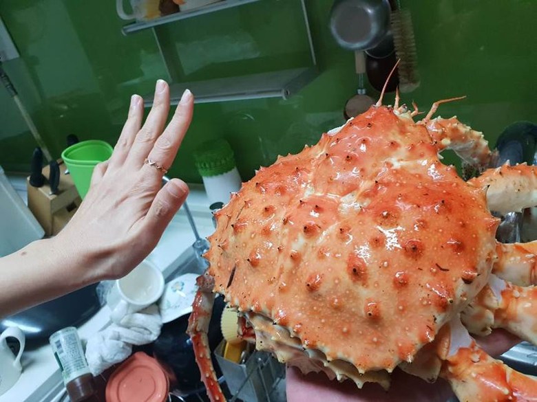 킹크랩 싸게 파는 곳