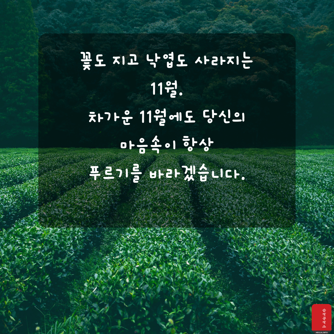 11월 인사말 문구 이미지 모음집