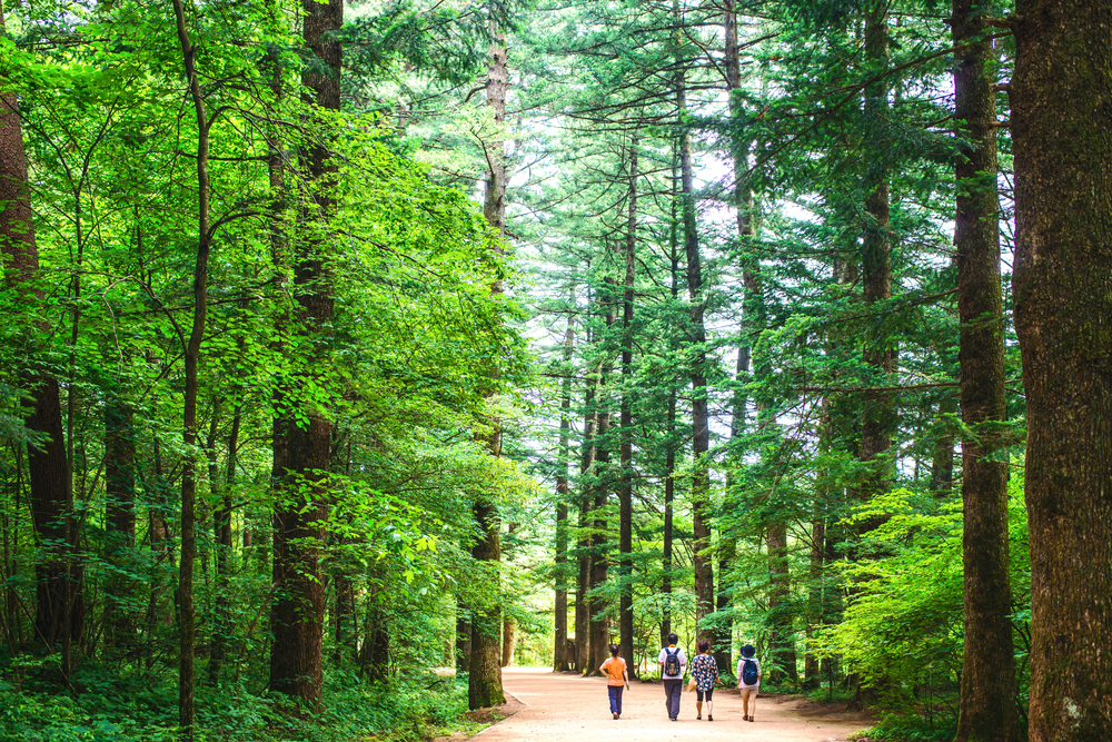 평창 가볼만한곳