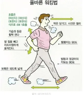 걷기운동 효과 좋은점 놀라운 효능 방법_18