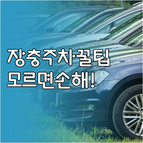 장충체육관 동국대 주차장 요금과 대중..