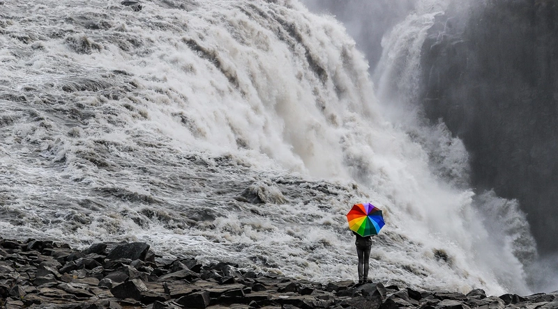 필기 및 실기 시험