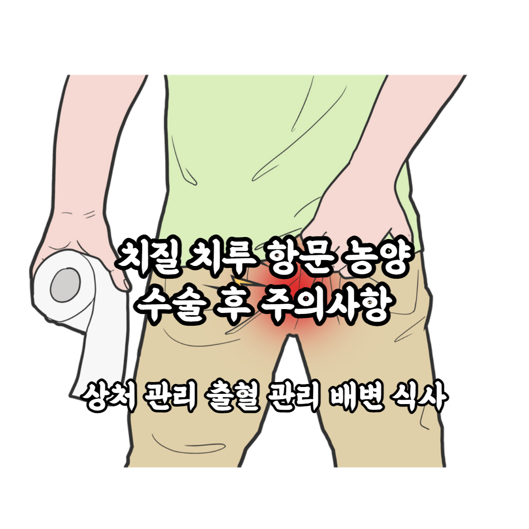 치질 치루 항문 농양 수술 후 주의사항 상처 관리 출혈 관리 배변 식사