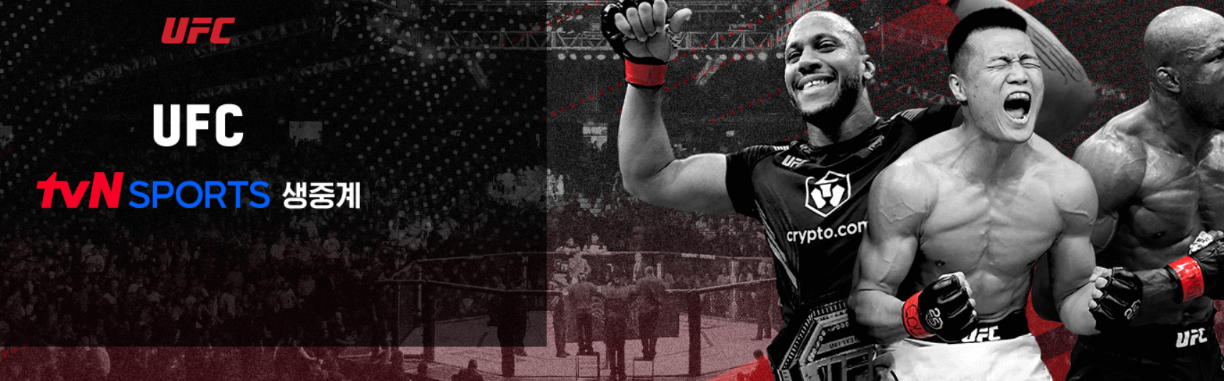 UFC 295 생중계