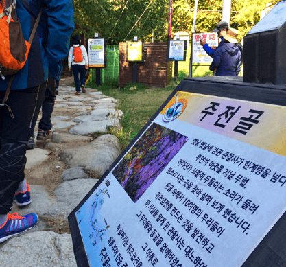 단풍여행 당일 단풍버스여행