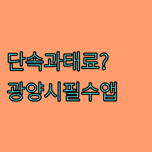 광양시 주정차 단속 알림 문자 서비스..